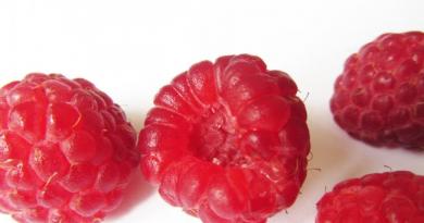 रास्पबेरी - फायदेशीर गुणधर्म आणि contraindications