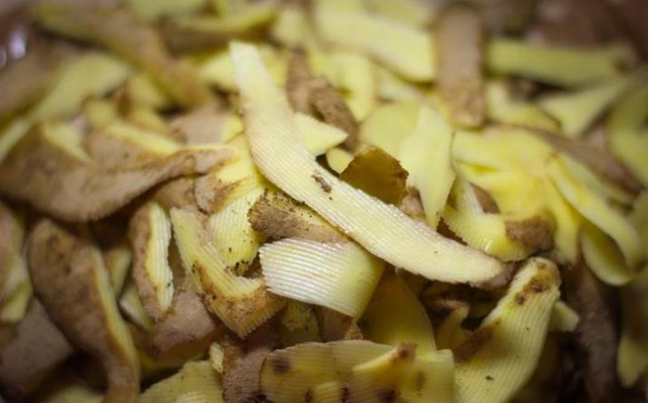 Vỏ khoai tây làm phân bón - loại cây nào được sử dụng